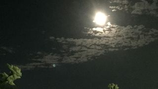 薔薇と月見の宴