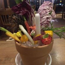 こだわり野菜の鉢植えバーニャカウダ