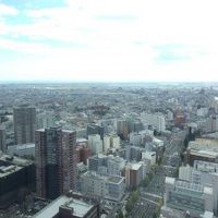 客室からの眺望