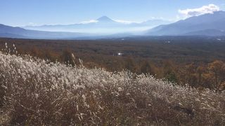 ここまで来たからには富士山を見なくては