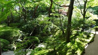 週末は車での訪問ベター