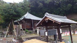 荒廃しています