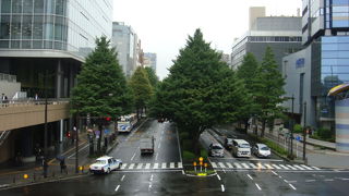 樹木のトンネル