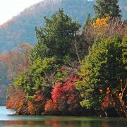 紅葉時期の湯の湖の散策ならば、兎島巡りも悪くはないが、カットも有りかな