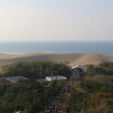 展望台から（遠い・・・）