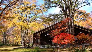 散策路のマップ、バス時刻表が手に入る