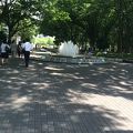 緑が多く気持ちがよい公園