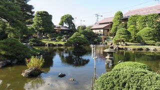 架けられた木橋や石灯籠・・・