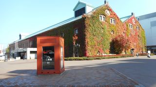 レンガ館のツタは一見の価値あり