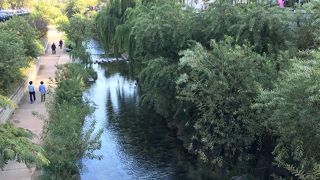 オアシスです。