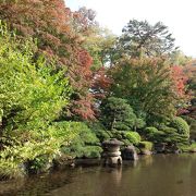 紅葉にはまだ早かったですが、見頃に行きたい素敵な公園