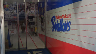 入り口周りがスワローズカラー