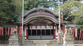 早稲田大学合格祈願に訪れます