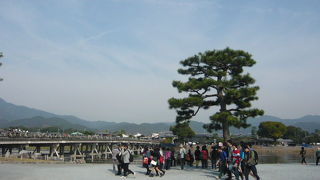 嵐山公園中之島地区