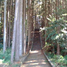 細い階段が続きます。