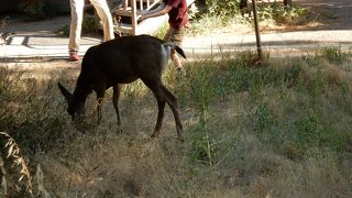 バスツアーで行きました。