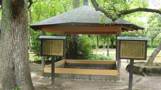 切り株だけになっています