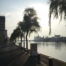 旅館の目の前の川（朝）