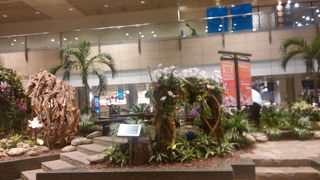 楽しめる工夫は日本も見習ってほしい！