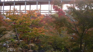 水景園の紅葉はいまが見頃です！