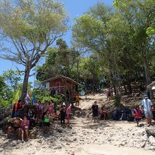 島は小山になっています。