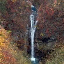 この時期は滝全体がはっきりと見られ最高です