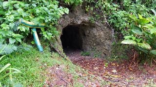 ペリリュー島の戦跡の一つ。防空壕などとして使われていた規模の大きい洞窟です。