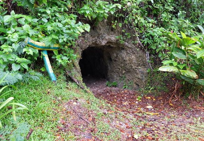 ペリリュー島の戦跡の一つ。防空壕などとして使われていた規模の大きい洞窟です。