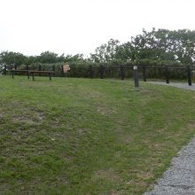 歩いての登り道