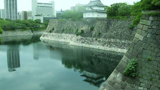 南外堀越しに見るのが一番綺麗