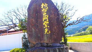 有田を訪れたらここは外せない。