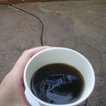 そうでもなかった