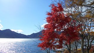１１月３日紅葉は終わってました