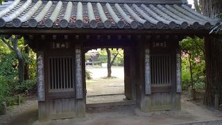 個性的な建物が並ぶ都立公園