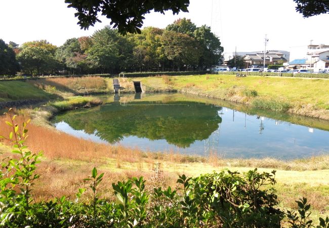 池のある公園