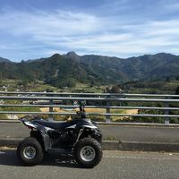 マイバギーちゃん。