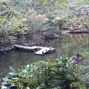 動物園を中心とした公園