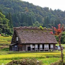 白川郷
