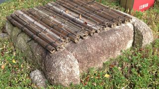 思っていたより 控えめでした