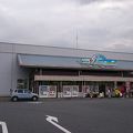 イチジク買うならここ！！in埼玉県・羽生