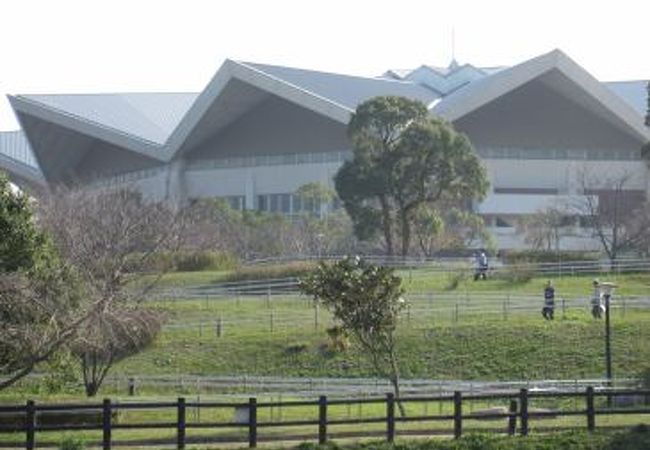 地域に根差したスポーツ大会会場