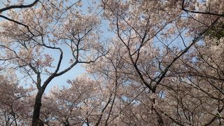 素晴らしい～～♪