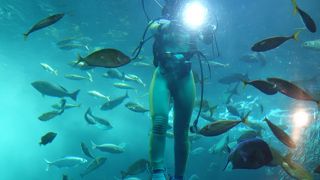 早めに昼食を済ませて、午後から訪れるのが良いかも