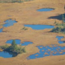 至仏山に登る途中に眺めました
