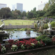 皇居側から第一花壇を見ています。手前にペリカン噴水があります