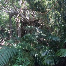 宇多良炭坑跡、貯炭地以外はコンクリート製だったようです。