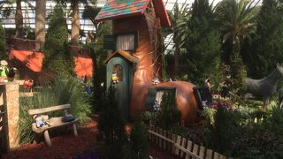 見たことない植物だらけ