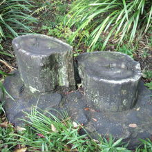 日比谷公園の松石は、芝生の中に２個が展示されています。