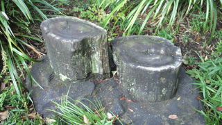 日比谷公園内の東端に、３～５千年前の木石が、松石として保存されています。