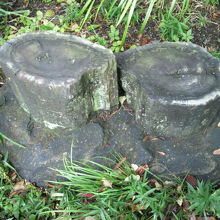 仔細に見ますと、年輪が確認でき、かなり古い時代の樹のようです